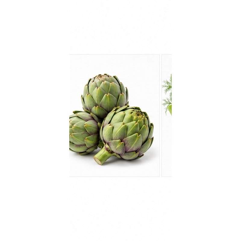 Artichoke — Fresh Vegetables