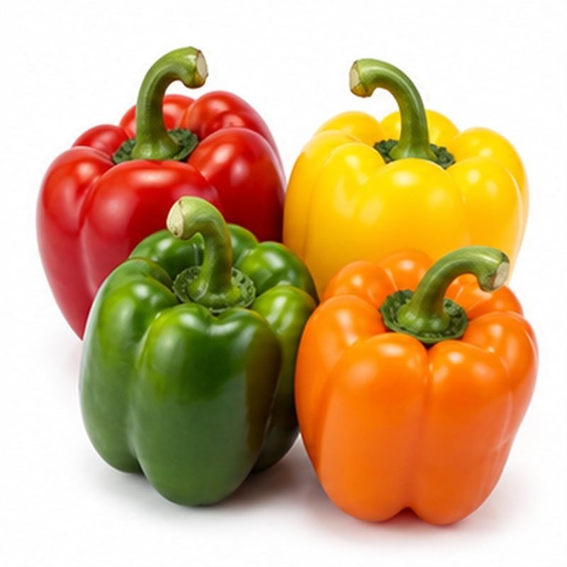 Bell Pepper / Capsicum — Fresh Vegetables