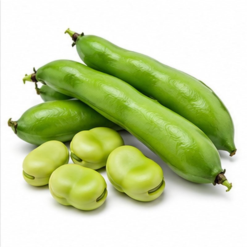 Broad Beans — Fresh Vegetables