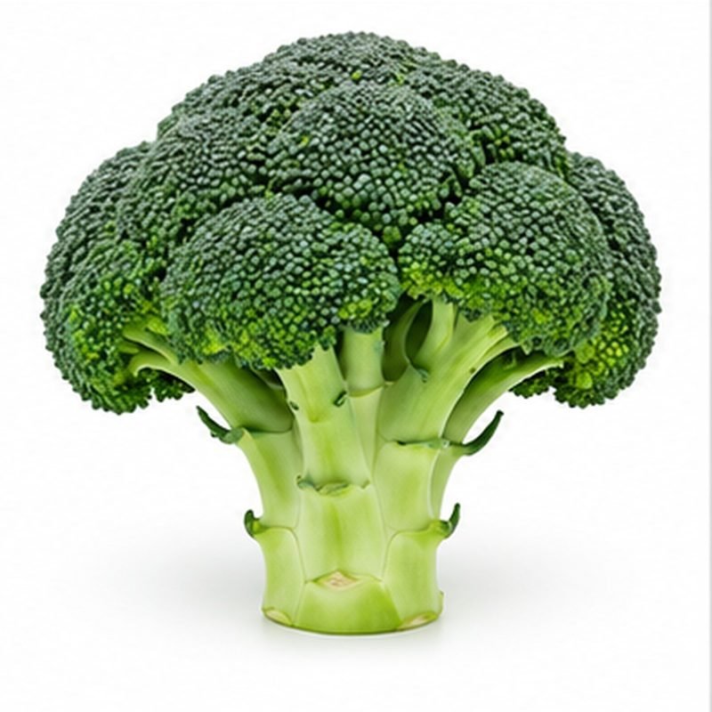 Broccoli — Fresh Vegetables