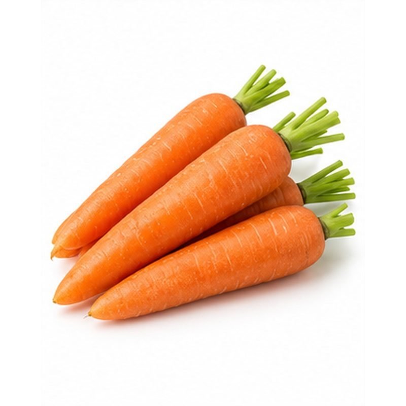 Carrot — Fresh Vegetables