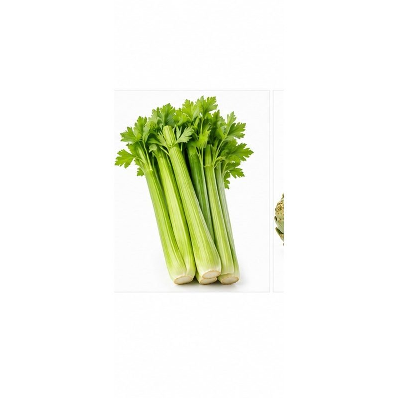 Céleri — Légumes frais