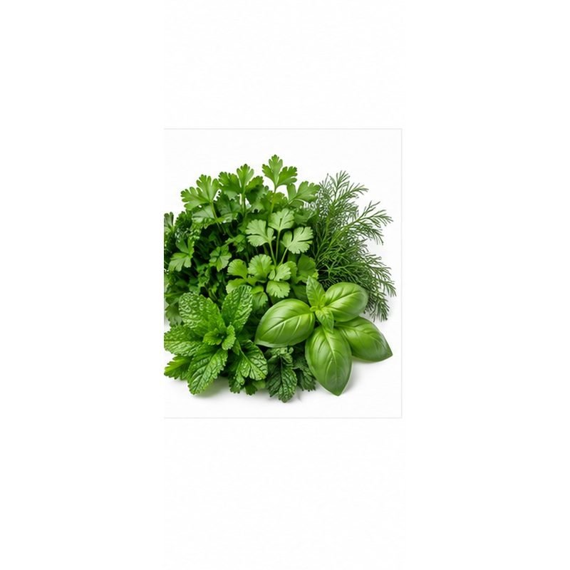 Herbes fraîches — Légumes frais