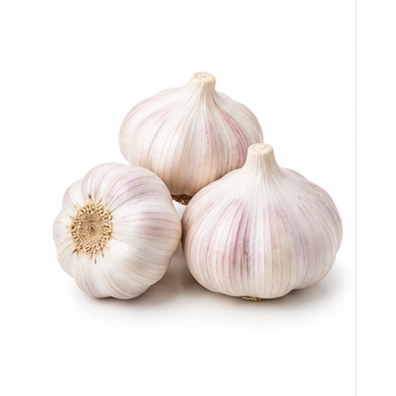 Garlic — Fresh Vegetables