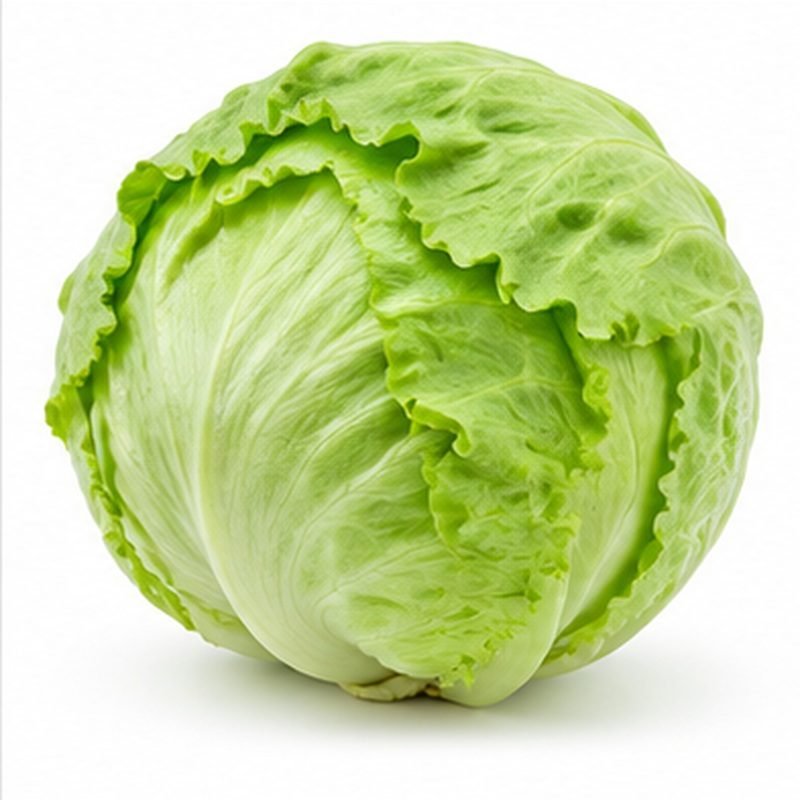 Iceberg Lettuce — Fresh Vegetables