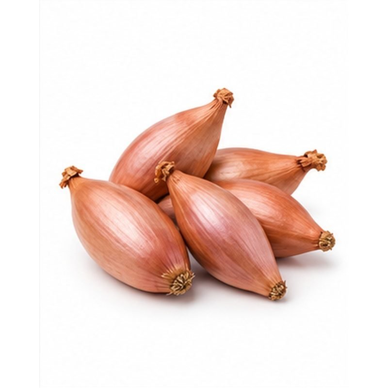 Shallot — Fresh Vegetables