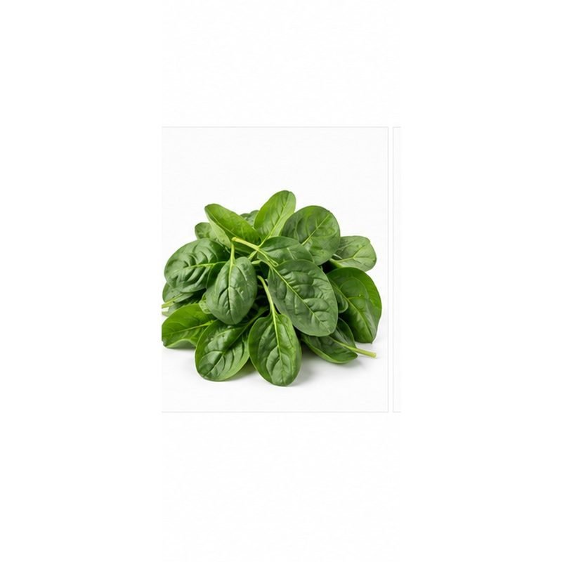 Épinards — Légumes frais